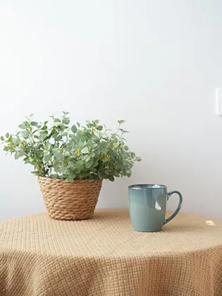 A Bosmarlin mug in a reactive glaze