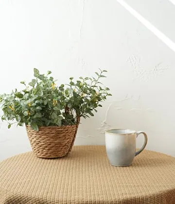 A Bosmarlin mug in a reactive glaze